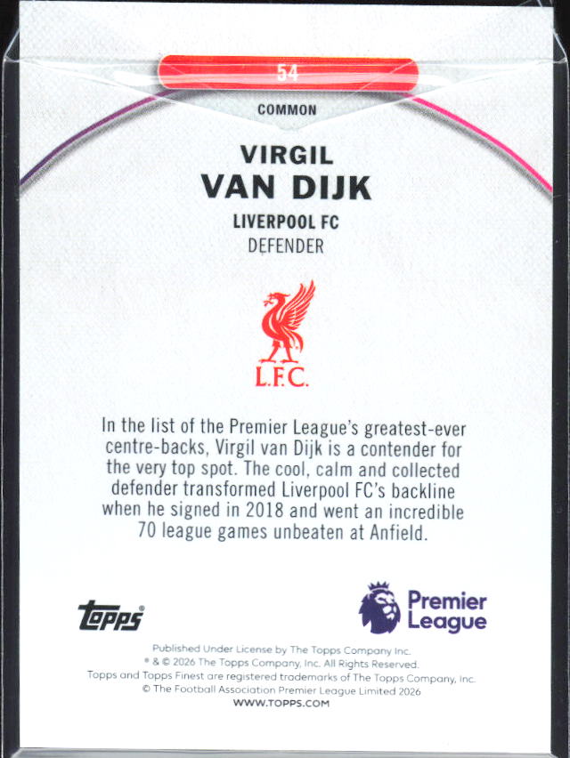 Virgil van Dijk – baksida