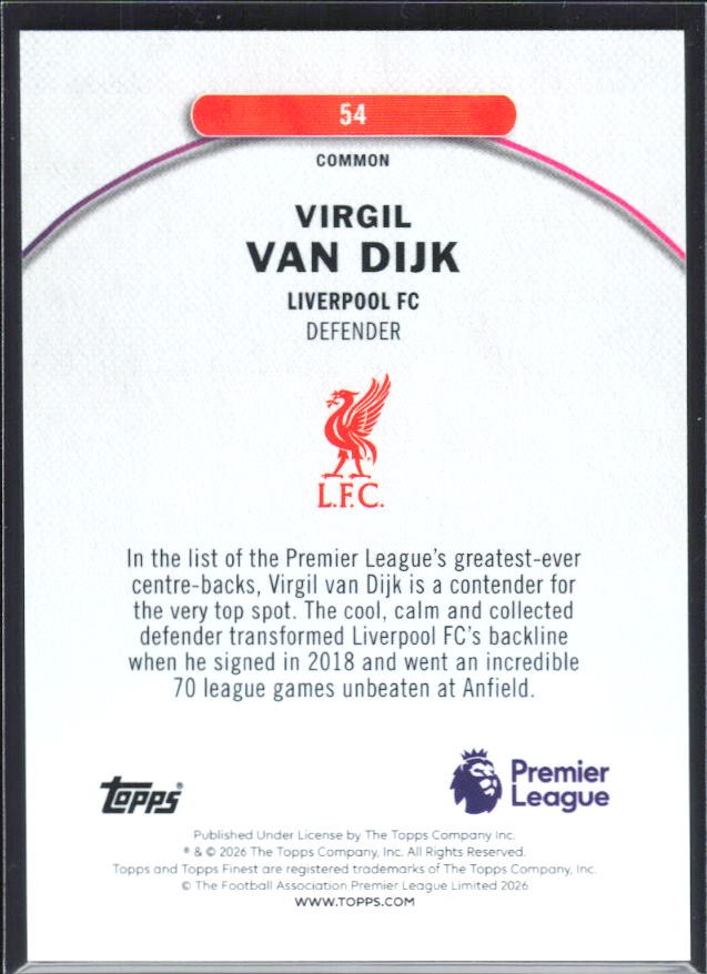Virgil van Dijk – baksida