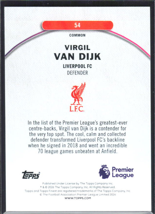 Virgil van Dijk – baksida