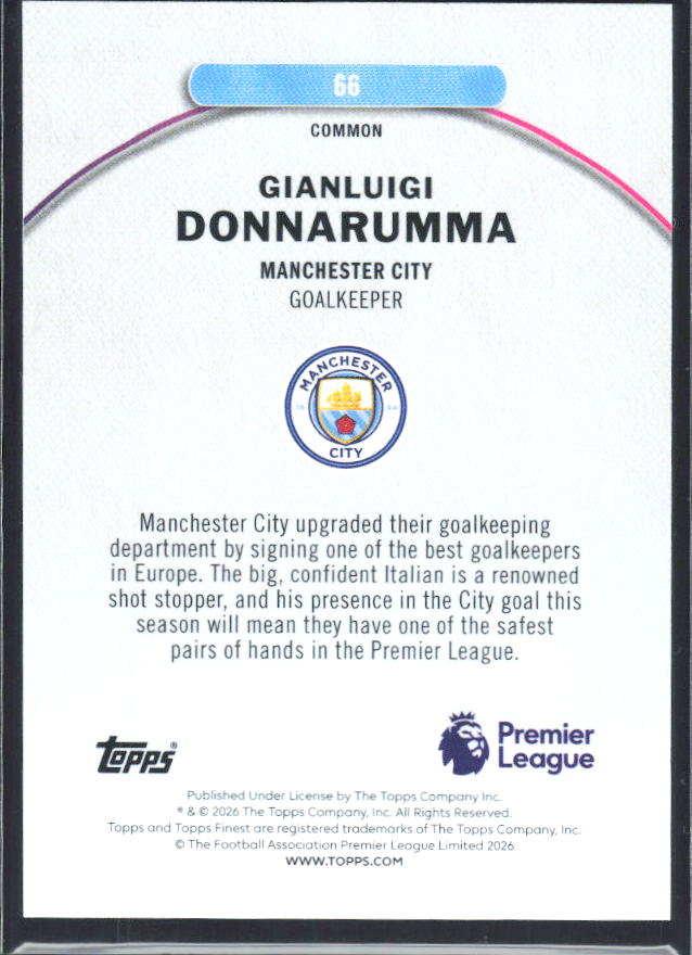 Gianluigi Donnarumma – baksida