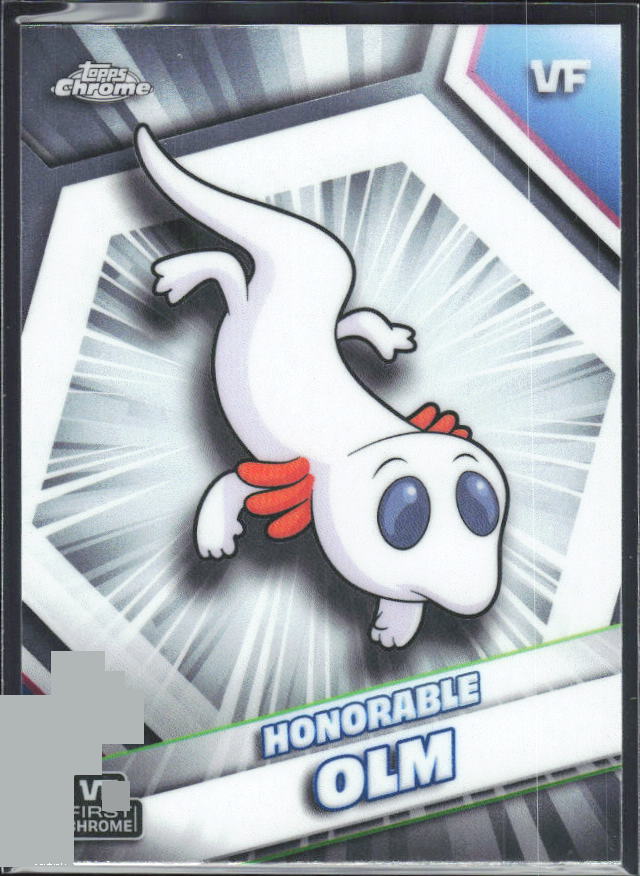 Honorable Olm 2026 Chrome VeeFriends #95 – framsida