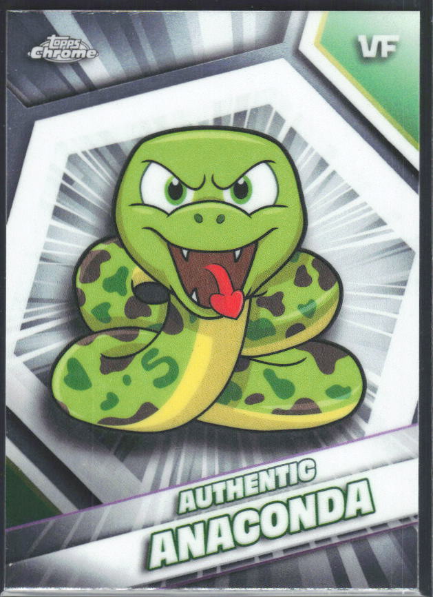 Authentic Anaconda 2026 Chrome VeeFriends #24 – framsida